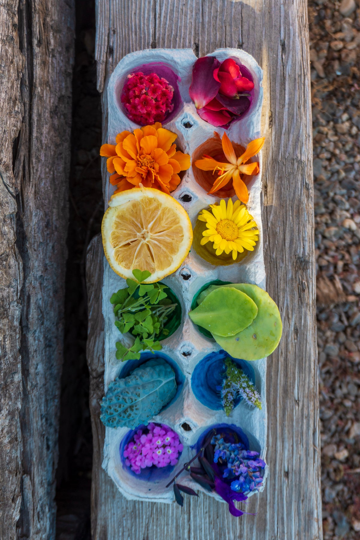 Recipes For Fun
